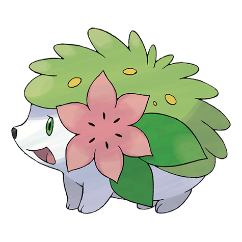 1591386544620.png