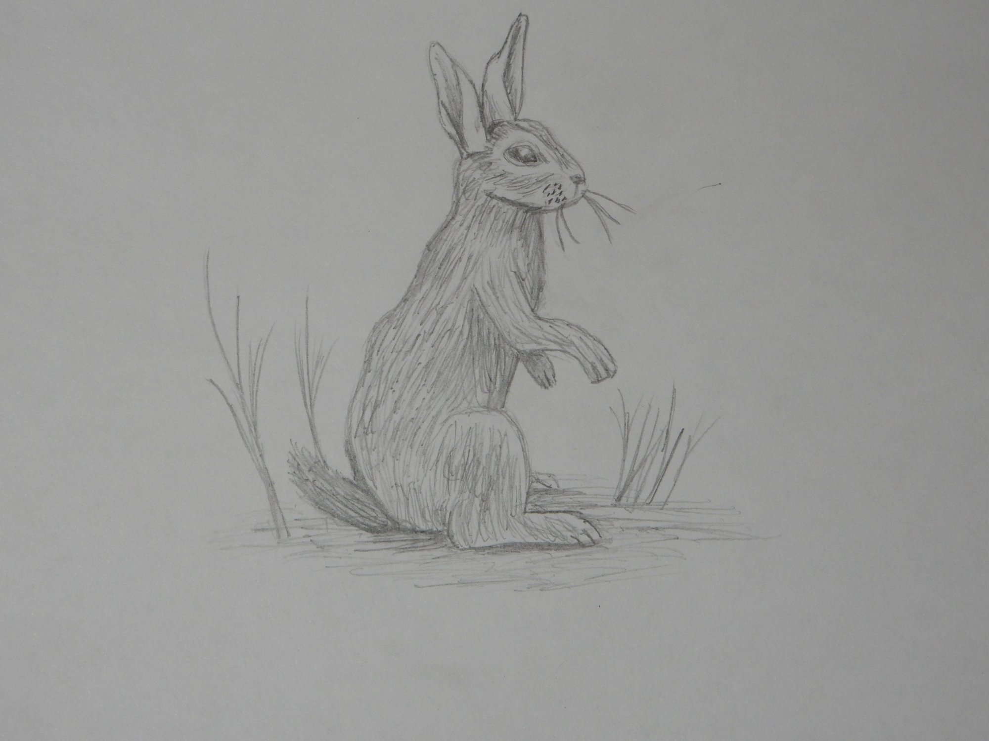 tekening.JPG