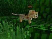 upload_2015-6-10_21-57-5.jpeg