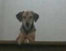 upload_2017-11-17_9-50-0.png