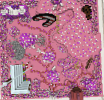 candyland 2.png candyland 2.png