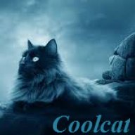 Coolcat307