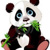 PowerPanda21