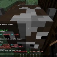 coole_angie