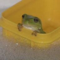Mar
