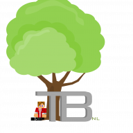 TheBoomNL