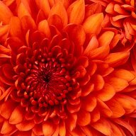 xX_Sanne11_Xx