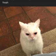 OriginalPoepi