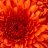 xX_Sanne11_Xx