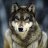 Wolf50000