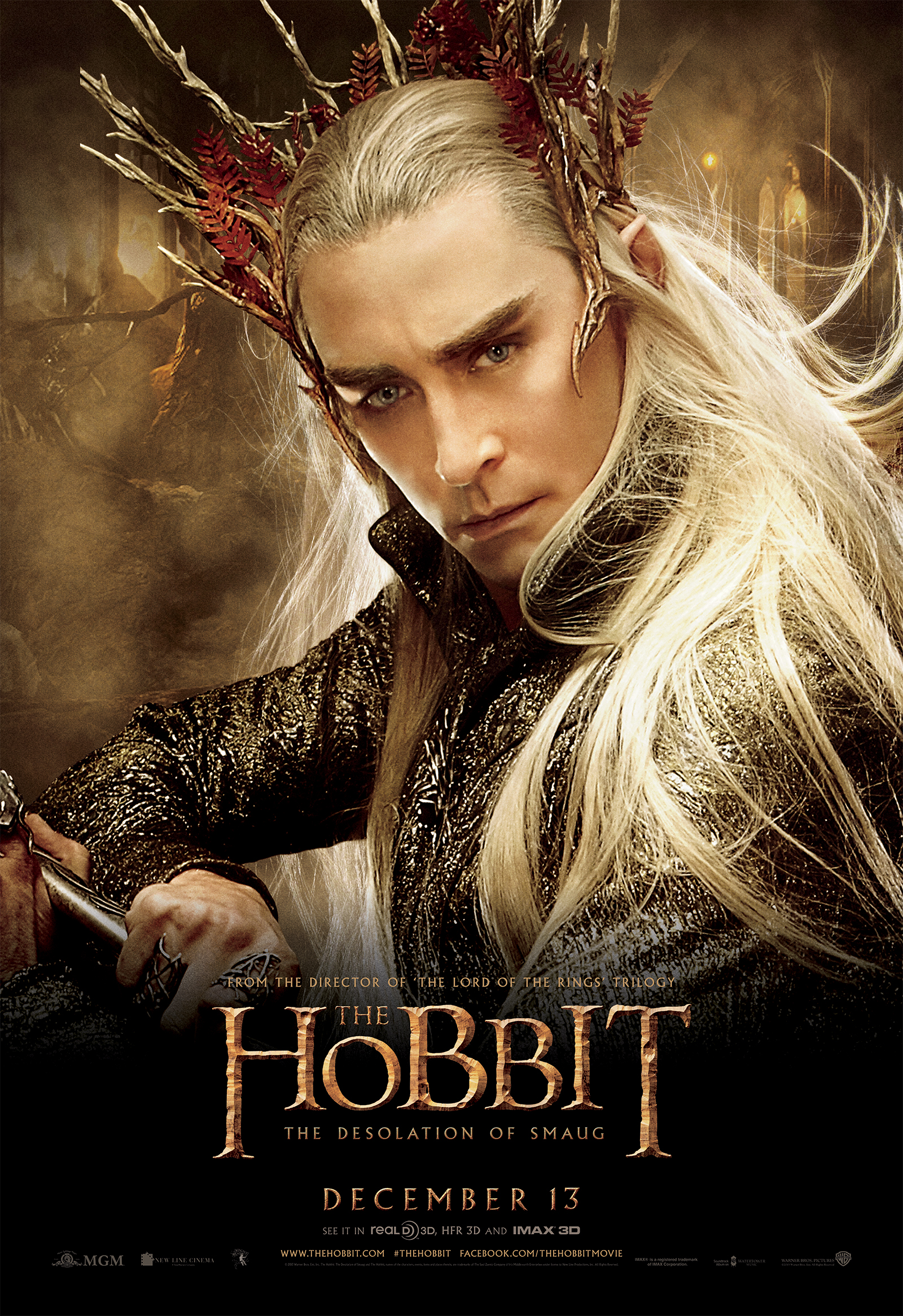 the_hobbit_the_desolation_of_smaug_2013_poster3.jpg