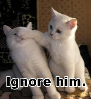 lol+cats.jpg