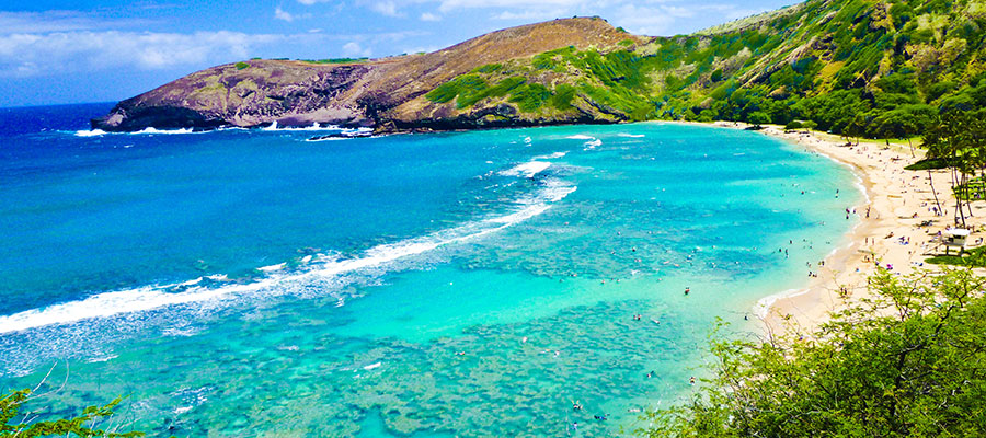 DestinationGalleries.Hawaii.SnorkelingBay900x400.jpg