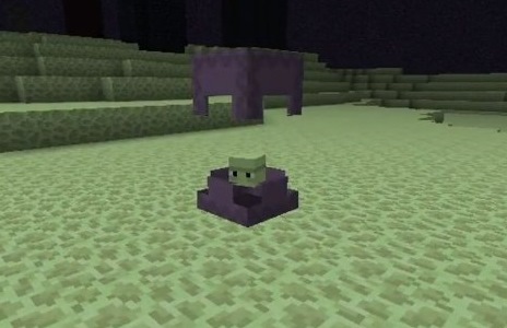 shulker.jpg