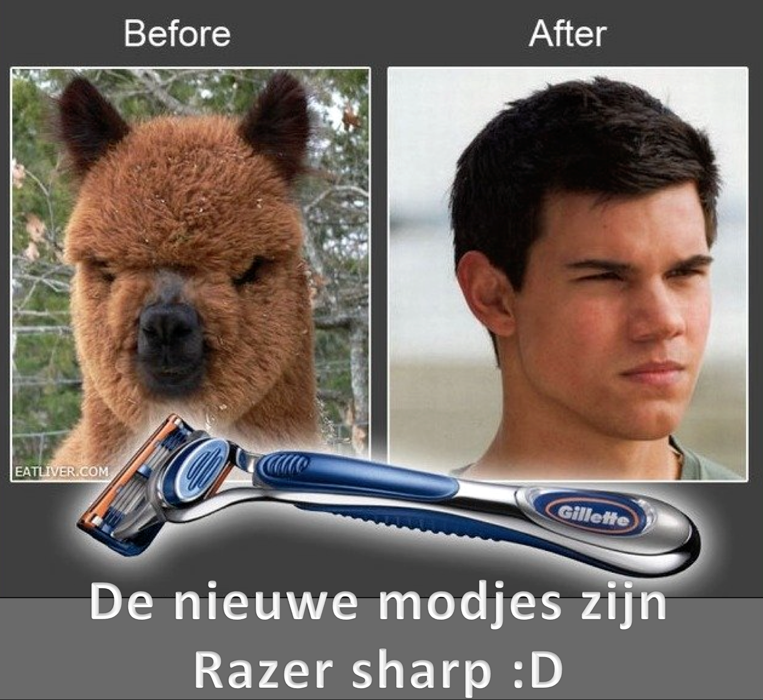 2vrtnrs.png