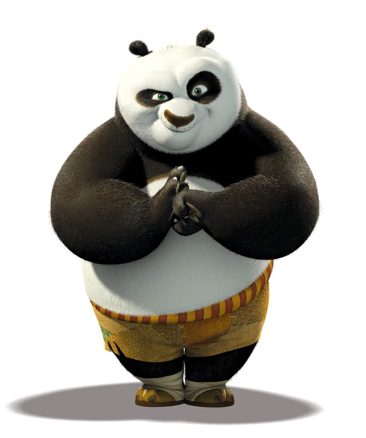 The-kung-fu-panda-image-the-kung-fu-panda-36644993-1170-1400.jpg
