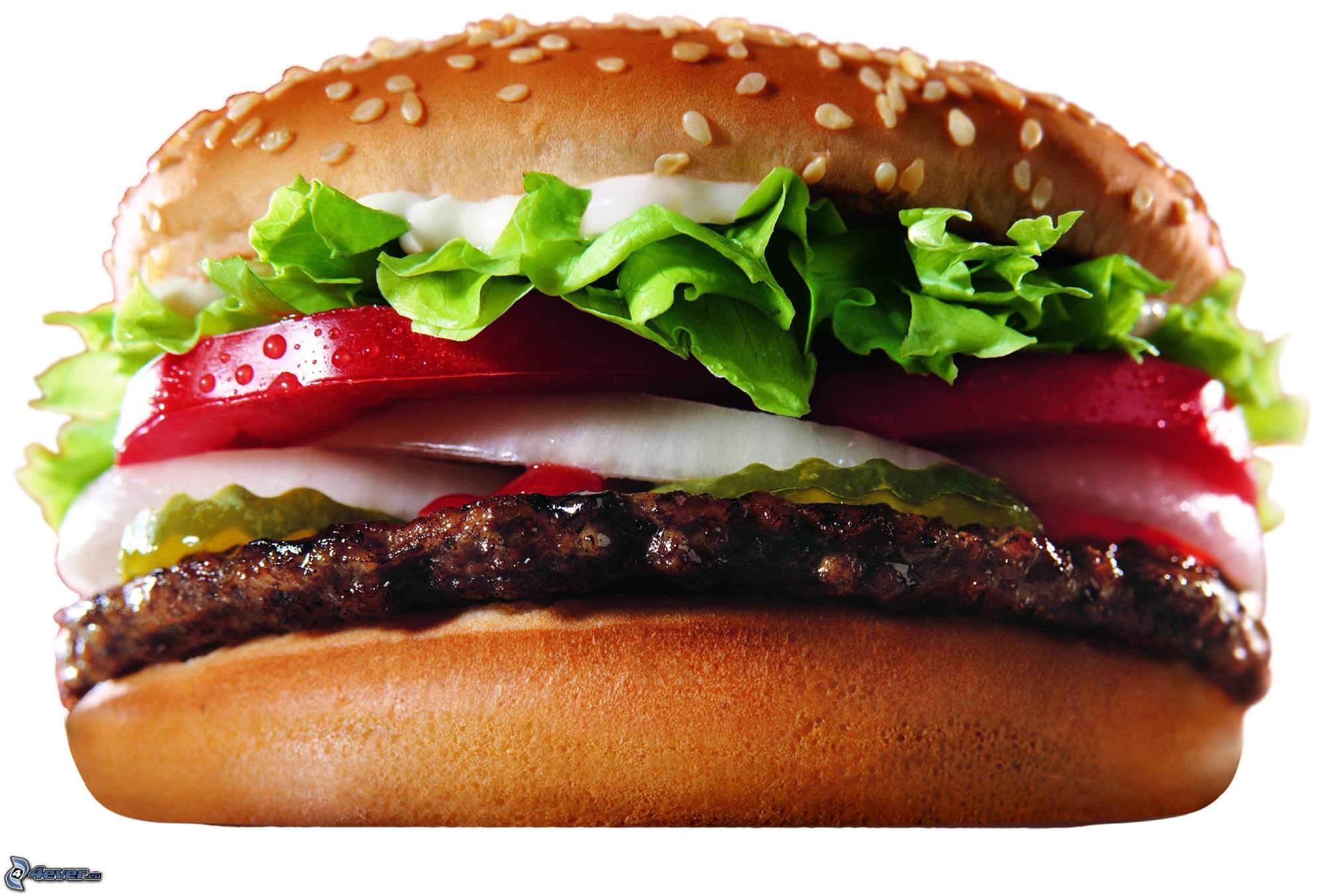 hamburger-156671-1.jpg